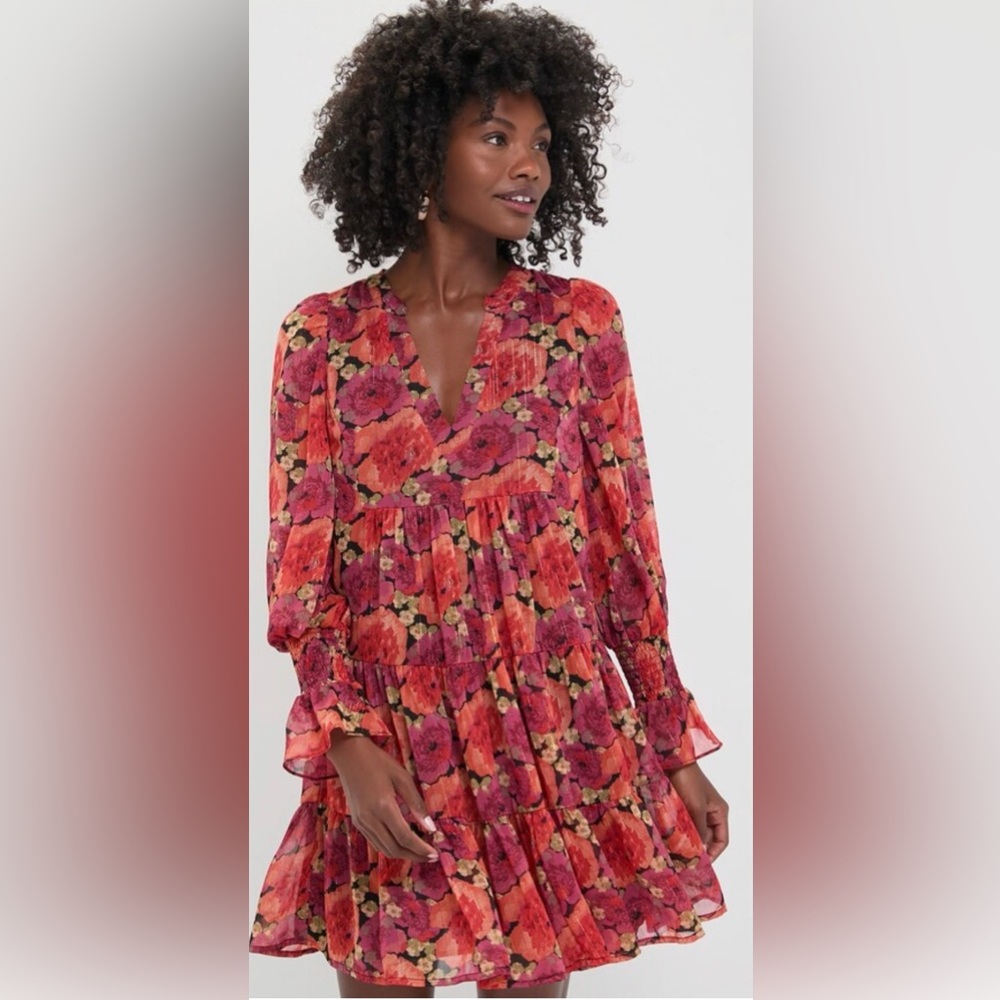 NWT Tuckernuck Pomander Place Rose Chiffon Kenzo Long Sleeve Mini Dress Large